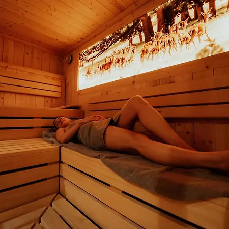 Hotel Dirsch Wellness & 4*