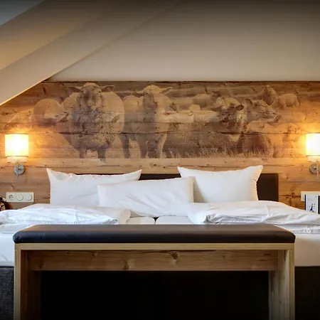 Dirsch Wellness&spa Hotel Emsing