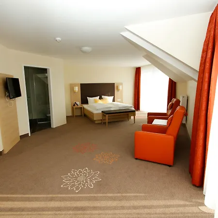 Dirsch Wellness & 4*