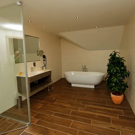 Dirsch Wellness & 4* Emsing