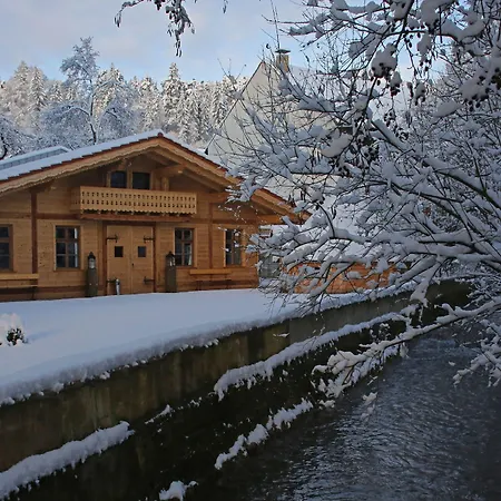 Dirsch Wellness &