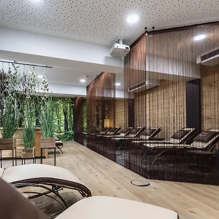 Dirsch Wellness & 4*